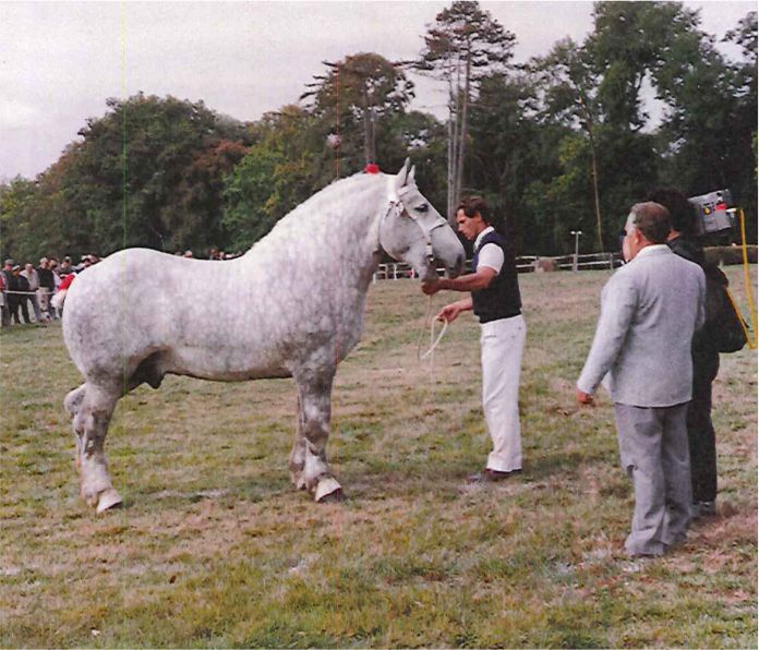 Viaduc sire to Isidore Viaduc sire to Isidore