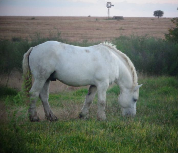 Isidore_sire_mbeki 5